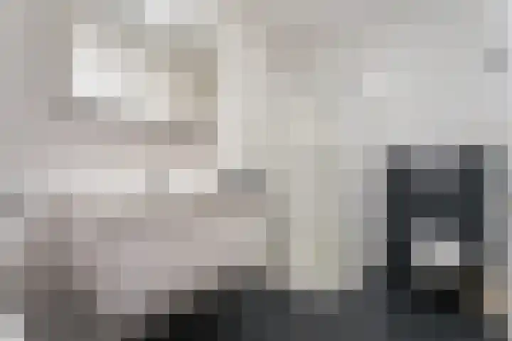 De Tuinderij 3 Vlissingen thumbnail 23