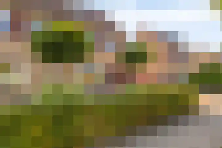 De Tuinderij 30 Hoogezand thumbnail 36