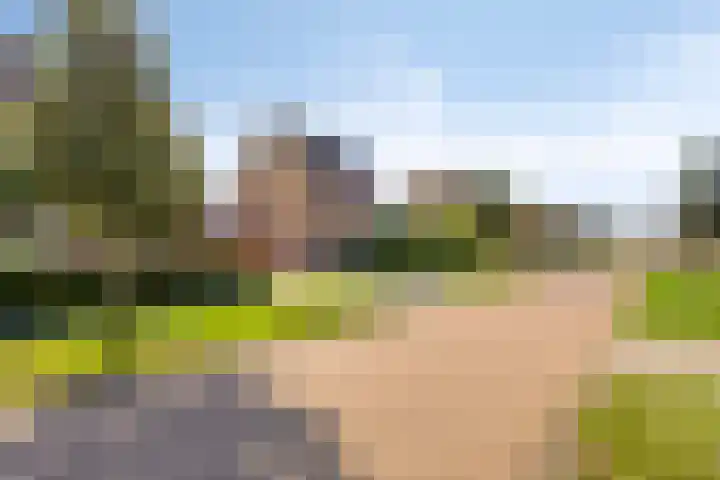 De Tuinderij 30 Hoogezand thumbnail 38