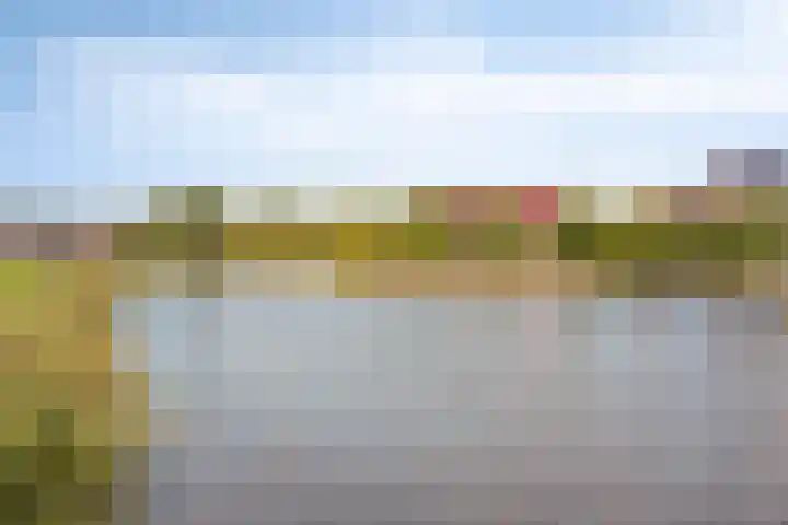 De Tuinderij 30 Hoogezand thumbnail 39
