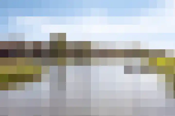 De Tuinderij 30 Hoogezand thumbnail 40