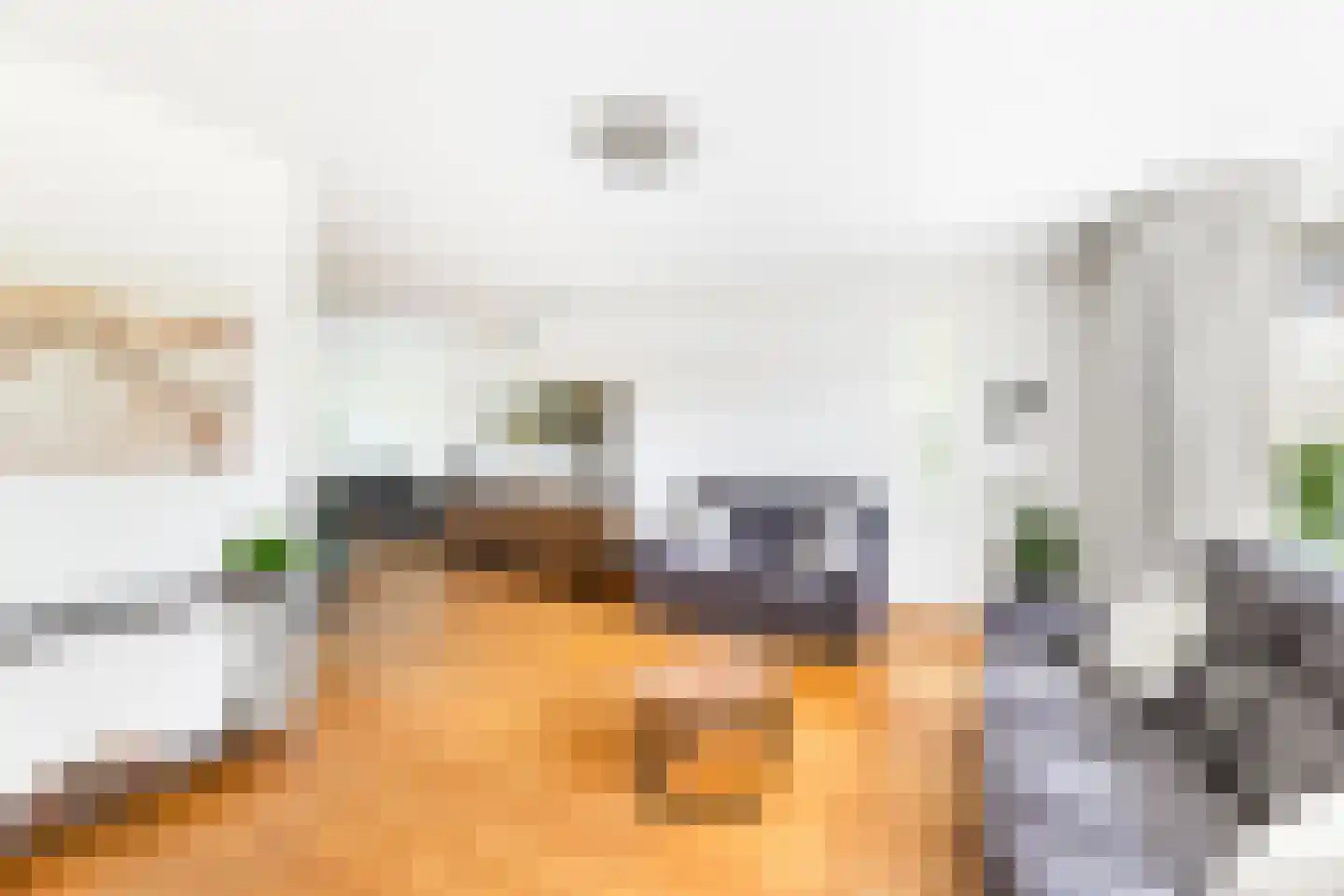 De Tuinderij 30 Vlissingen thumbnail 11