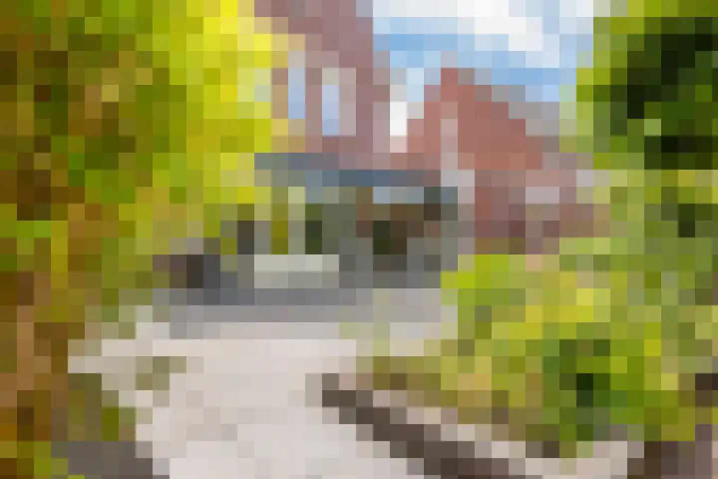 De Tuinderij 30 Vlissingen thumbnail 55