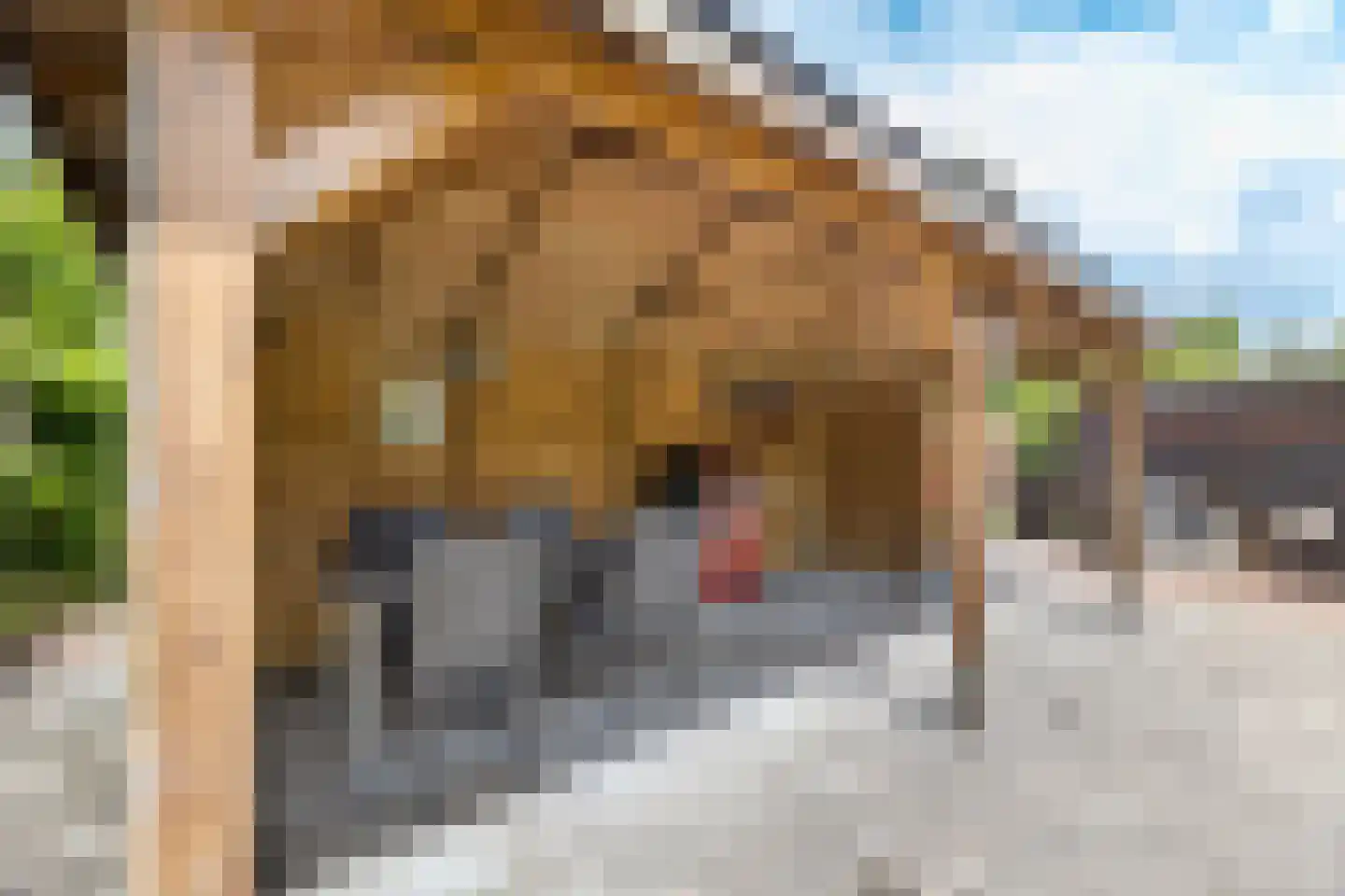 De Tuinderij 30 Vlissingen thumbnail 58