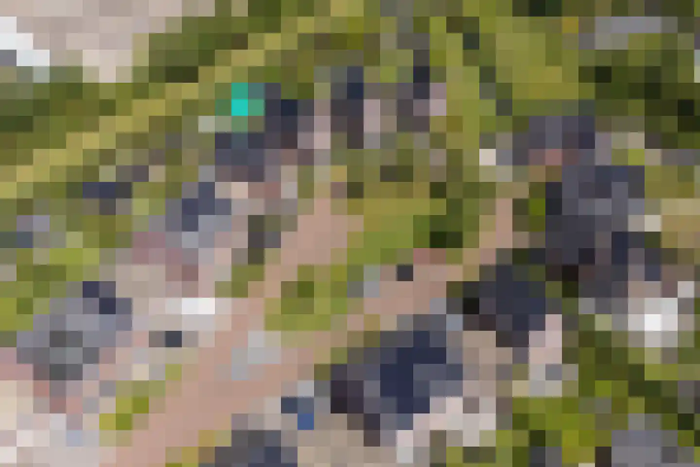 De Tuinderij 30 Vlissingen thumbnail 6