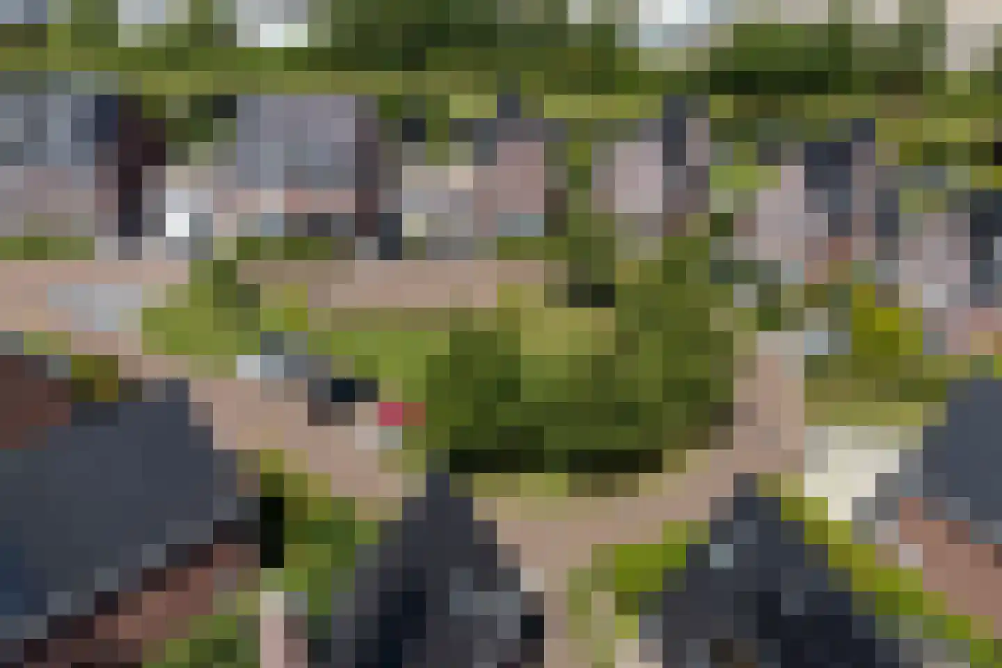 De Tuinderij 30 Vlissingen thumbnail 60