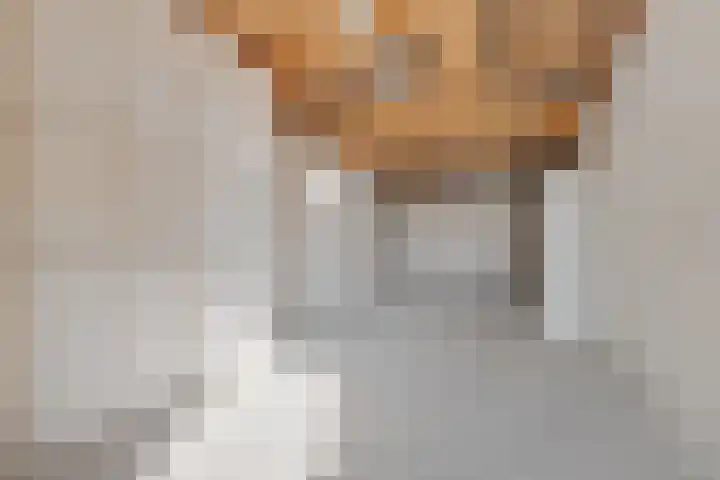 De Tuinderij 9 Vlissingen thumbnail 21