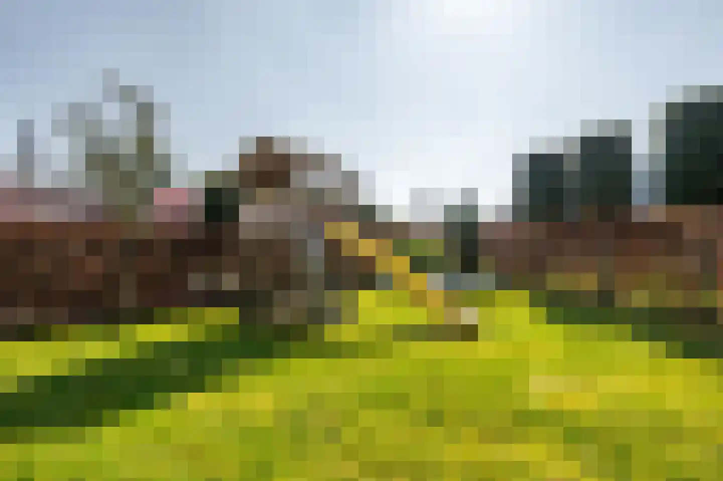 De Tuinderij 9 Vlissingen thumbnail 22