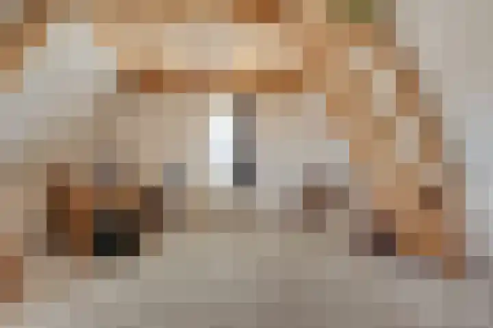 De Tuinderij 9 Vlissingen thumbnail 34