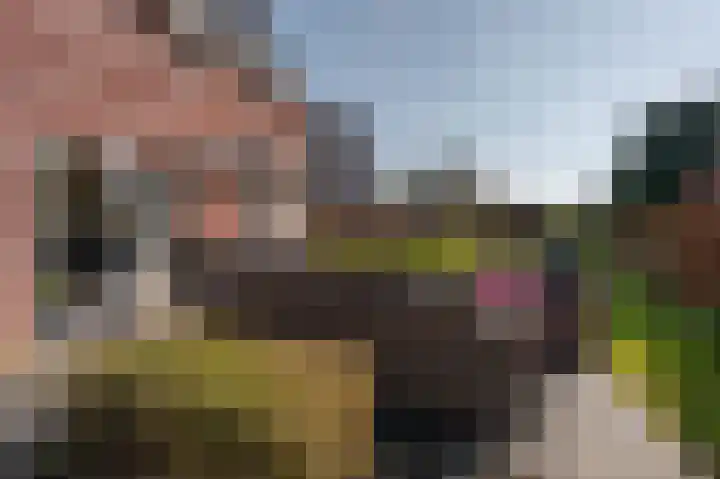De Tuinderij 9 Vlissingen thumbnail 36