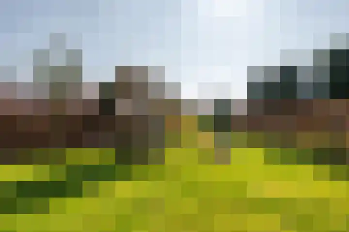 De Tuinderij 9 Vlissingen thumbnail 39
