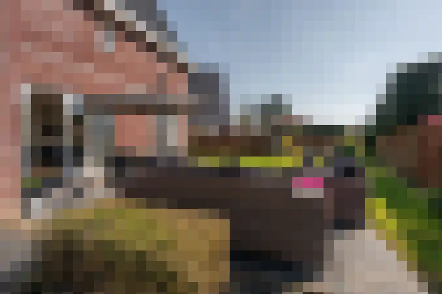 De Tuinderij 9 Vlissingen thumbnail 39