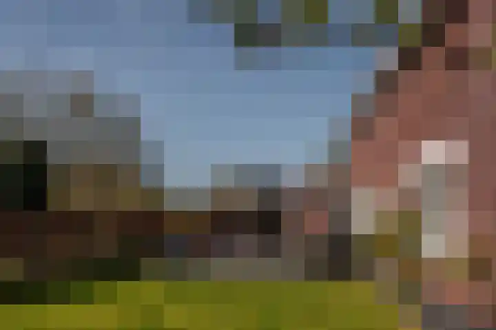 De Tuinderij 9 Vlissingen thumbnail 40