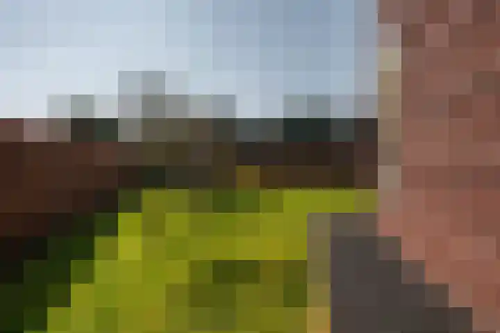 De Tuinderij 9 Vlissingen thumbnail 42