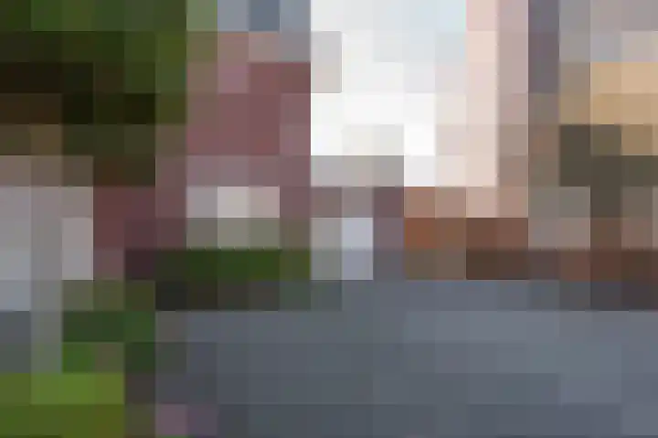 De Tuinderij 9 Vlissingen thumbnail 43