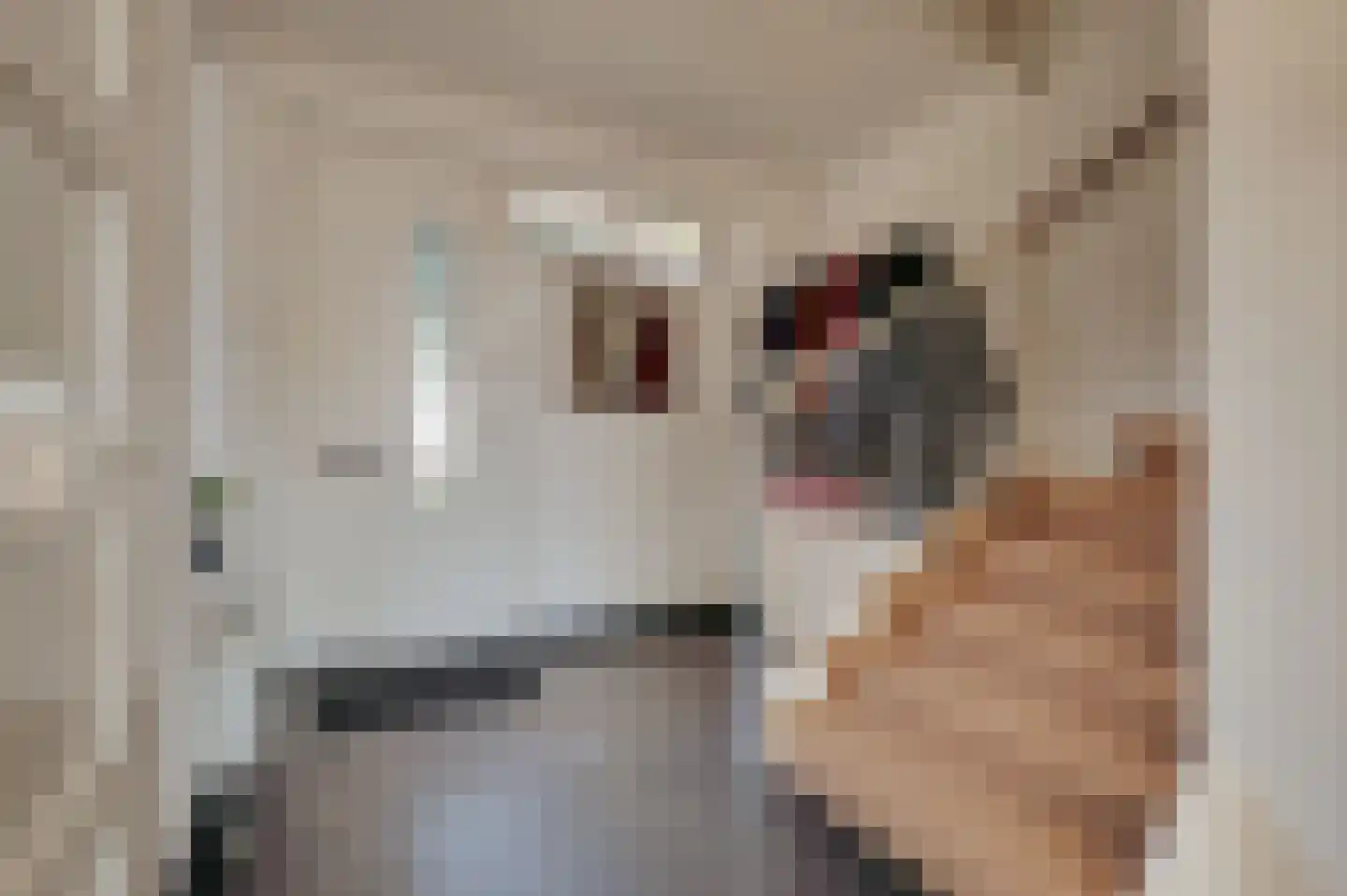 De Tuinderij 9 Vlissingen thumbnail 9