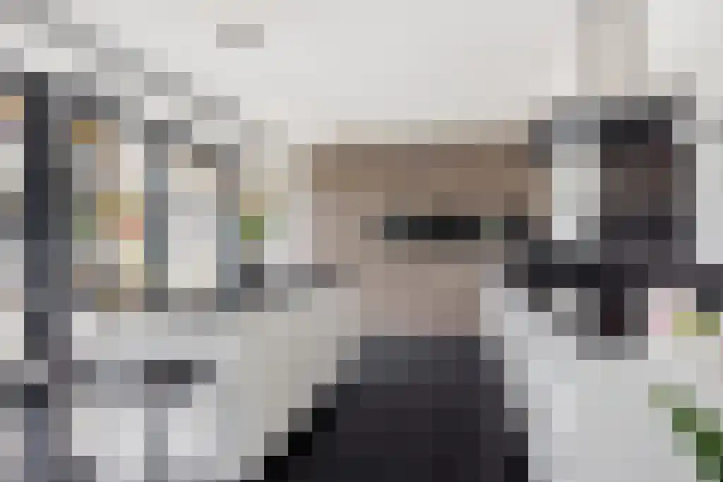 De Tuinen 13 Wolvega thumbnail 15