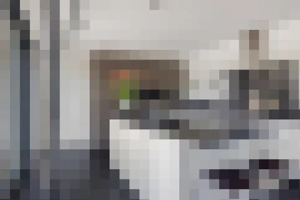 De Tuinen 13 Wolvega thumbnail 16