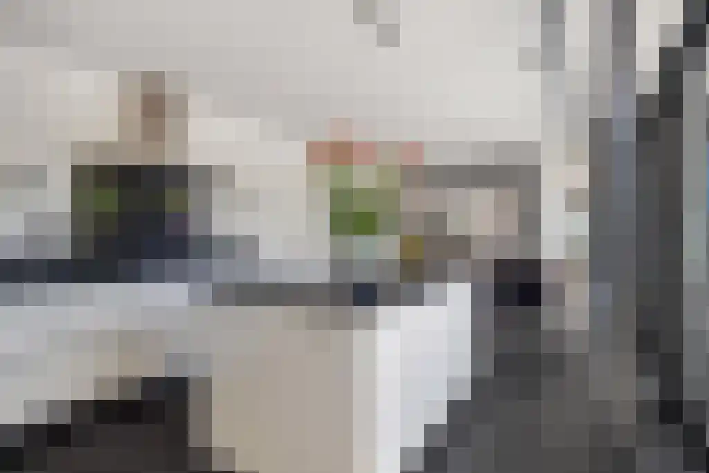 De Tuinen 13 Wolvega thumbnail 17