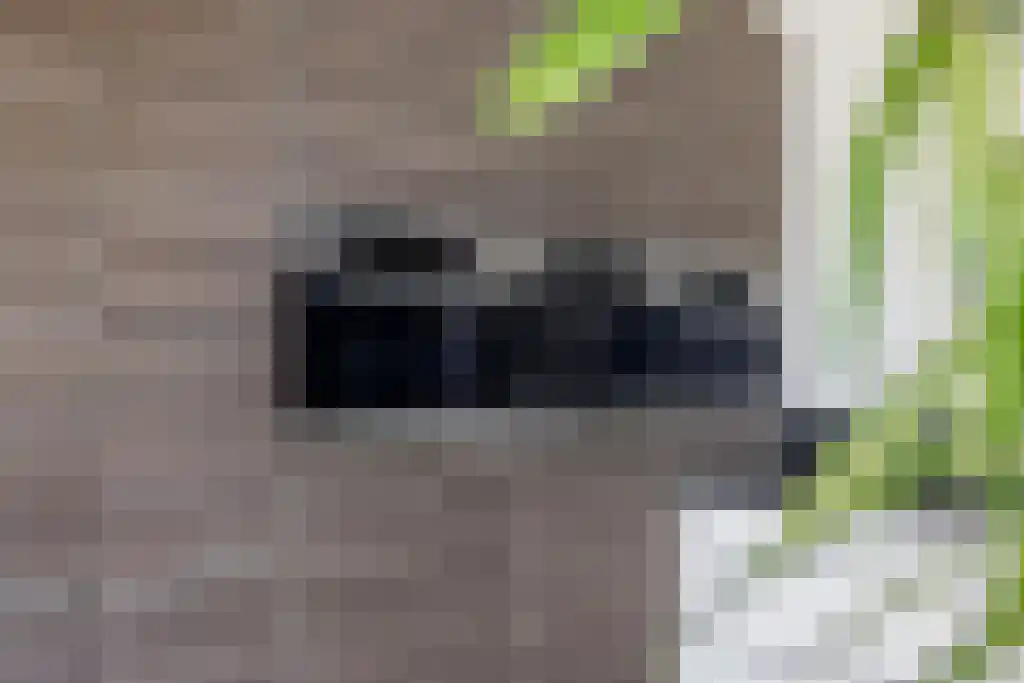 De Tuinen 13 Wolvega thumbnail 19