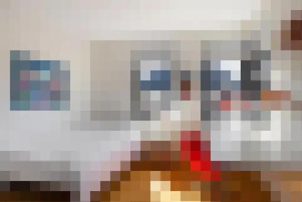 De Tuinen 13 Wolvega thumbnail 33