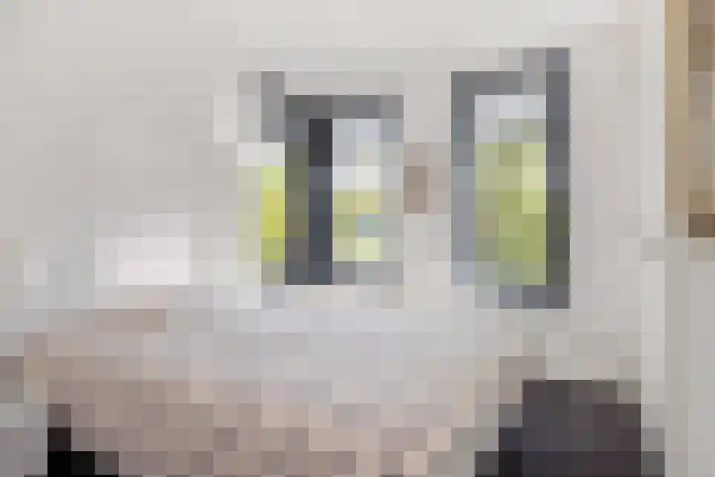 De Tuinen 13 Wolvega thumbnail 36