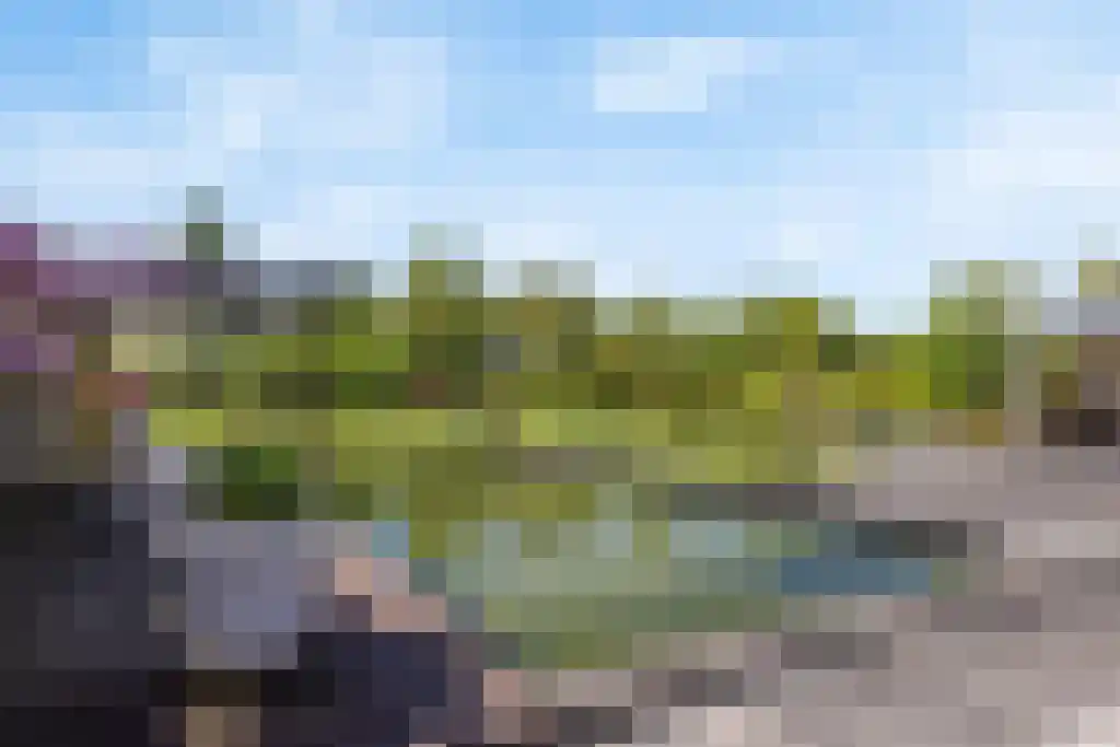 De Tuinen 13 Wolvega thumbnail 60