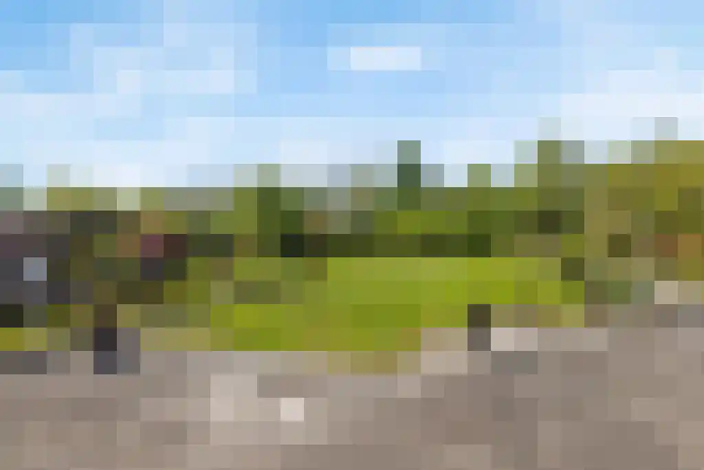 De Tuinen 13 Wolvega thumbnail 63