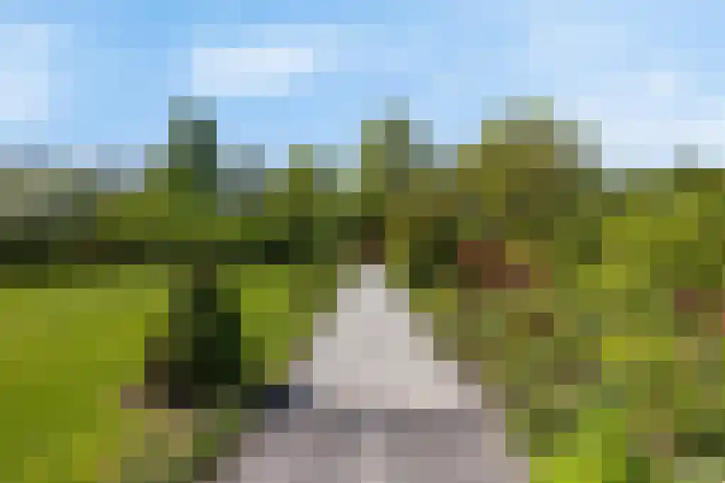 De Tuinen 13 Wolvega thumbnail 64