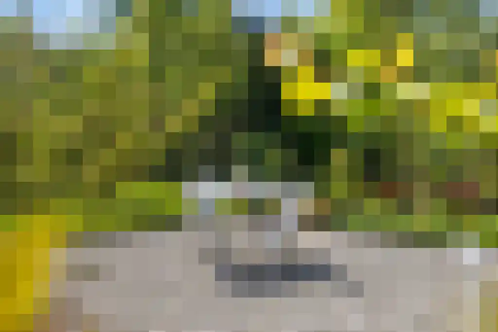 De Tuinen 13 Wolvega thumbnail 67