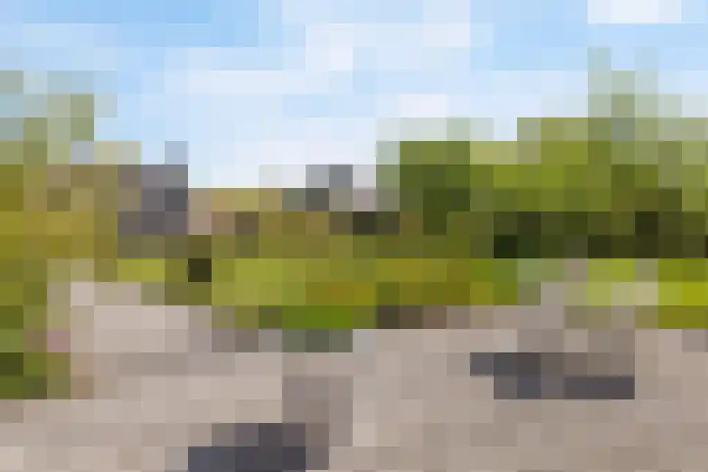 De Tuinen 13 Wolvega thumbnail 68