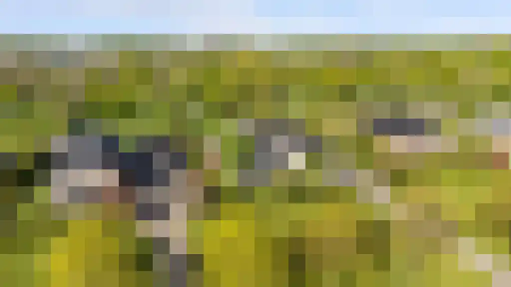 De Tuinen 13 Wolvega thumbnail 71