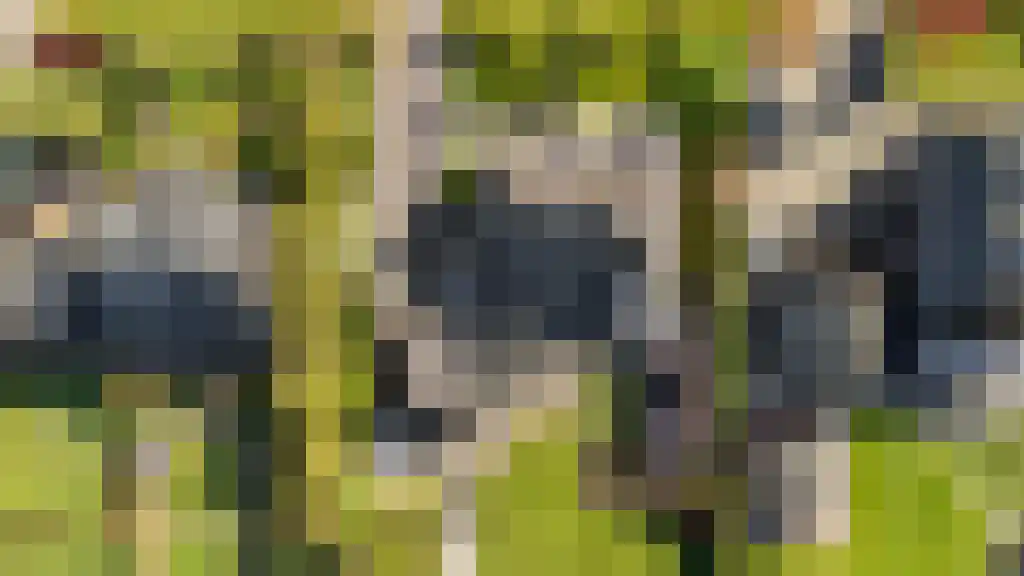 De Tuinen 13 Wolvega thumbnail 72