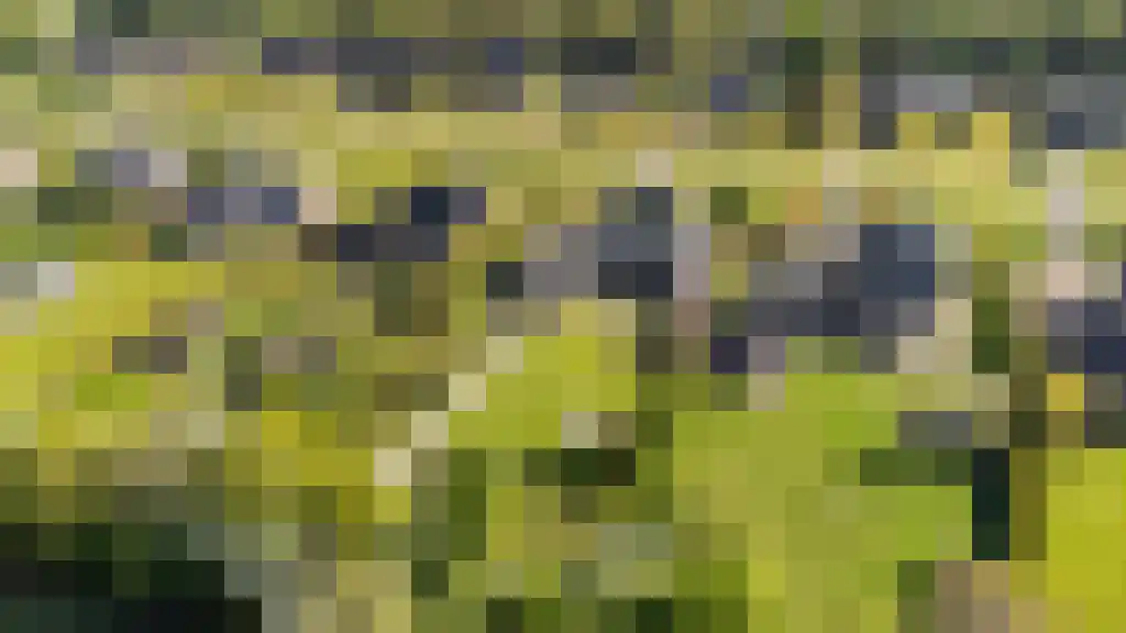 De Tuinen 13 Wolvega thumbnail 73