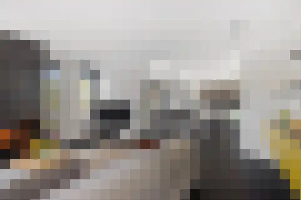 De Tuinen 13 Wolvega thumbnail 9