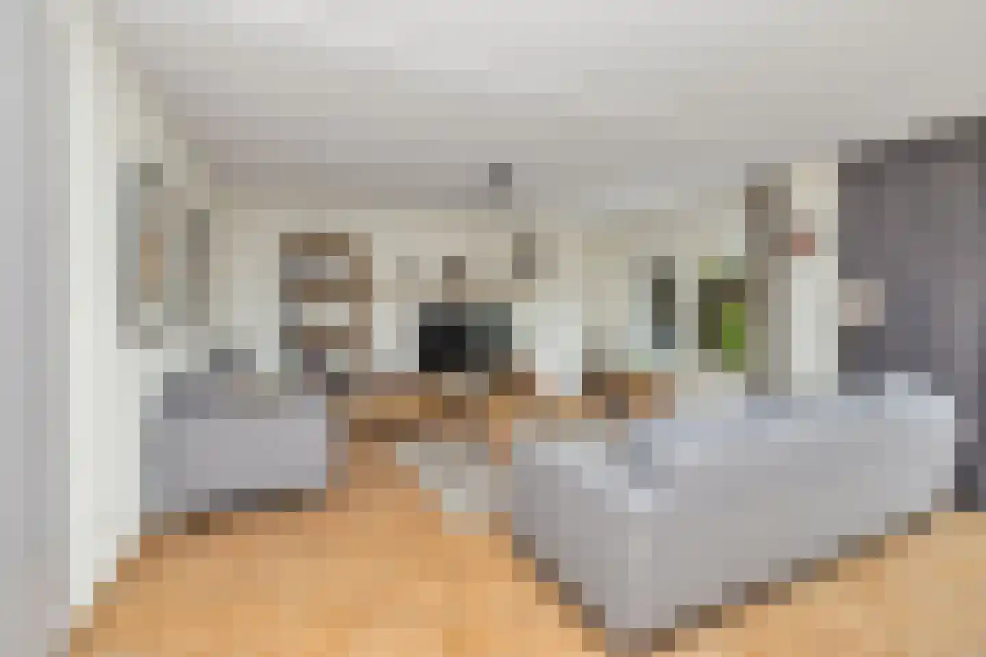 De Tuinen 17 Schagen thumbnail 12