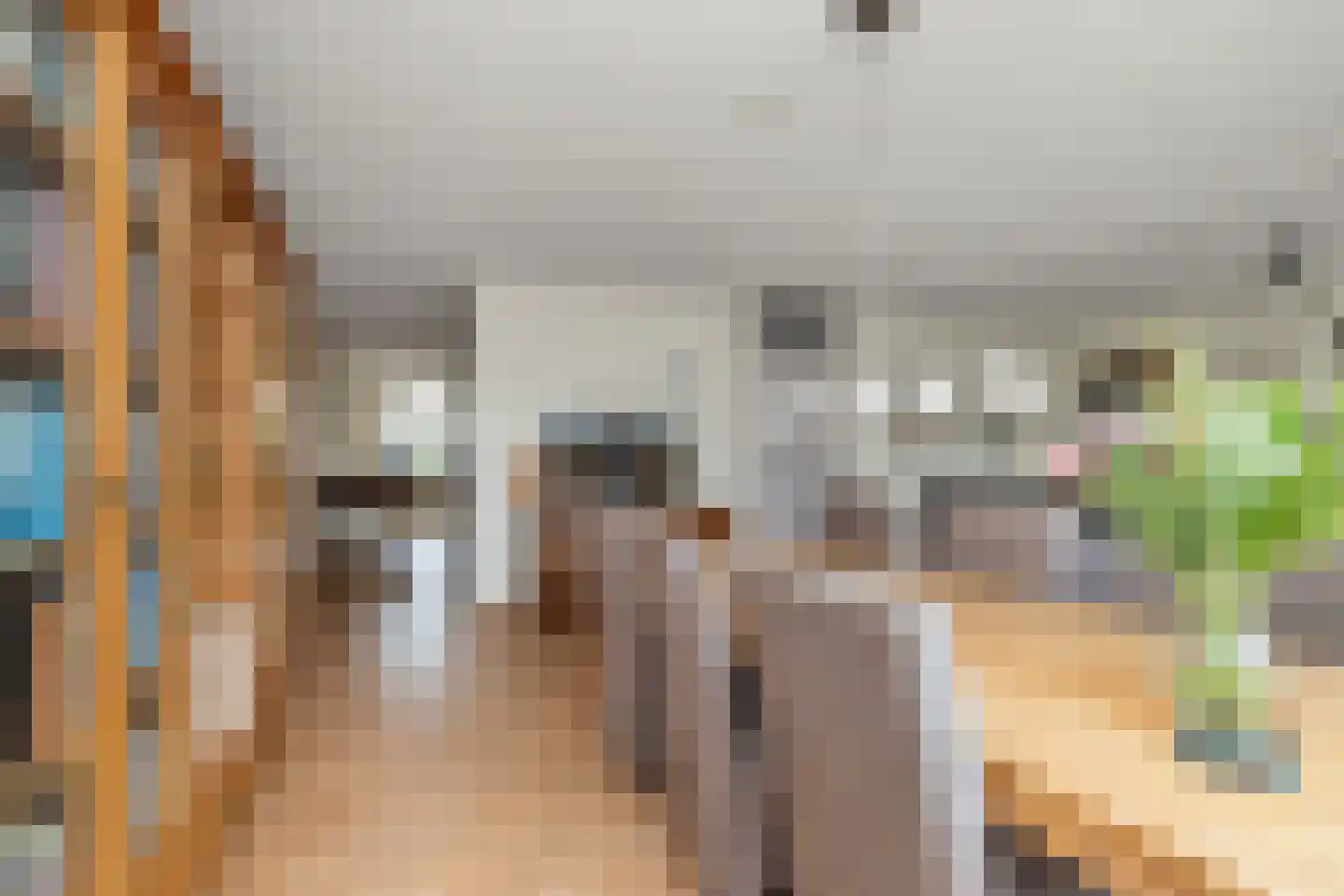 De Tuinen 17 Schagen thumbnail 16