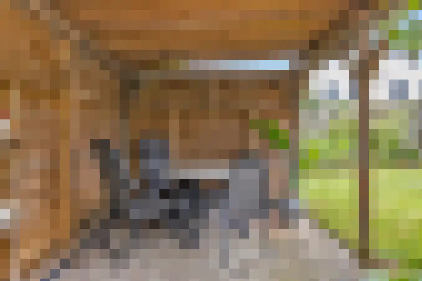 De Tuinen 17 Schagen thumbnail 46