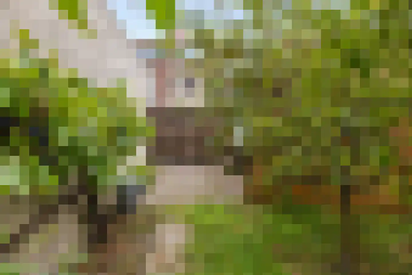 De Tuinen 17 Schagen thumbnail 47