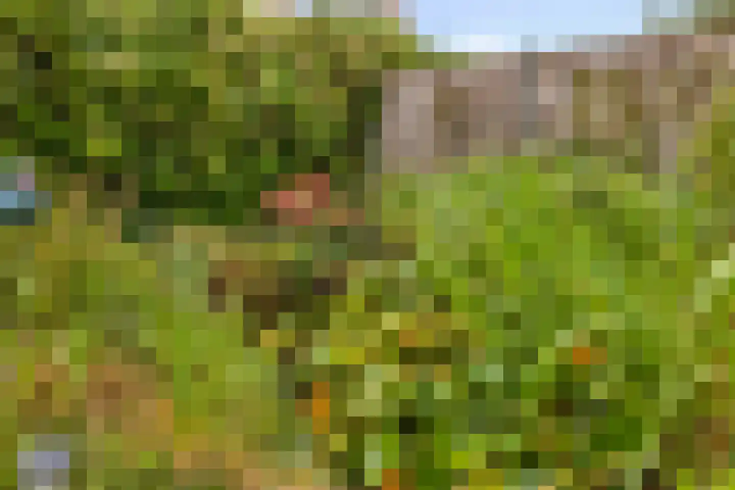 De Tuinen 17 Schagen thumbnail 49