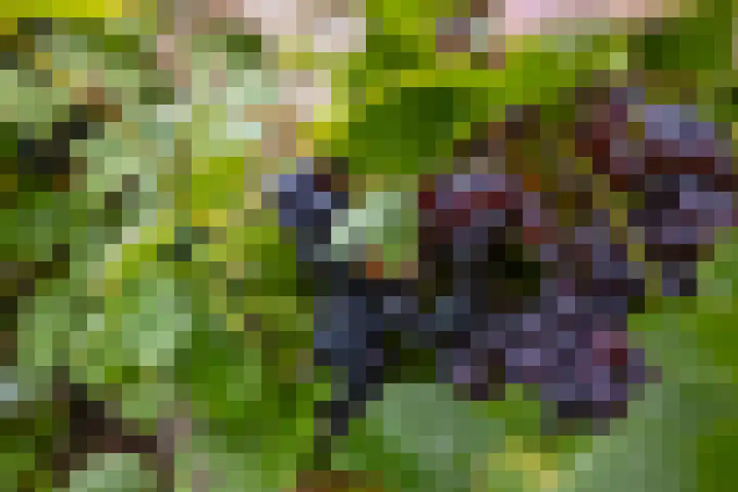 De Tuinen 17 Schagen thumbnail 50