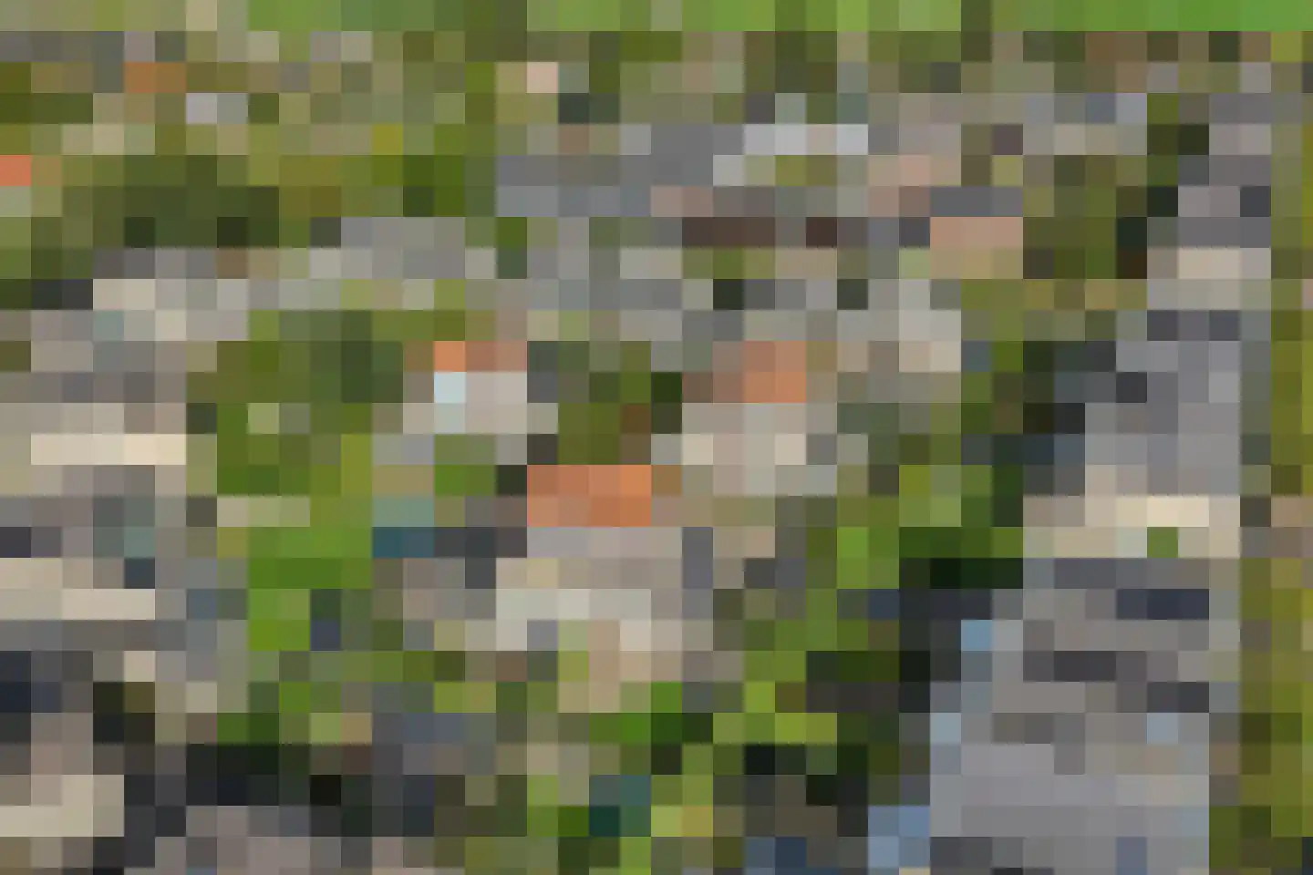 De Tuinen 17 Schagen thumbnail 55