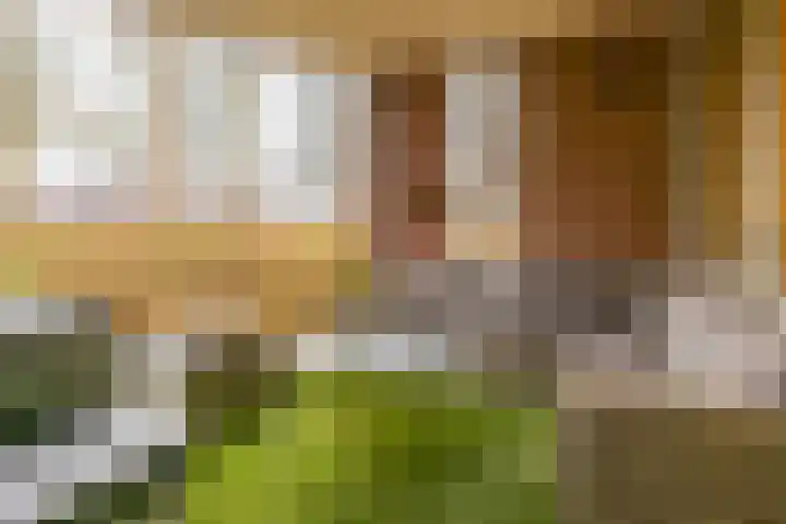 De Tuinen 27 Gorinchem thumbnail 11