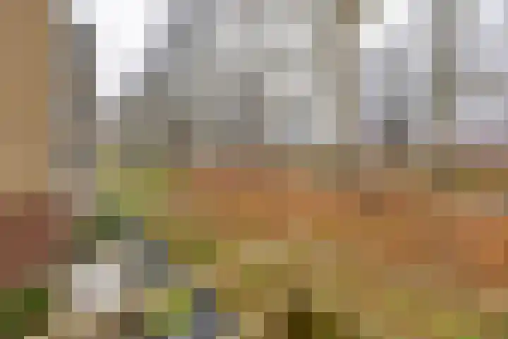 De Tuinen 27 Gorinchem thumbnail 12