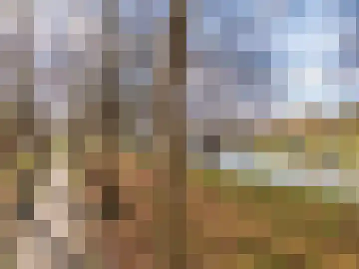 De Tuinen 27 Gorinchem thumbnail 13