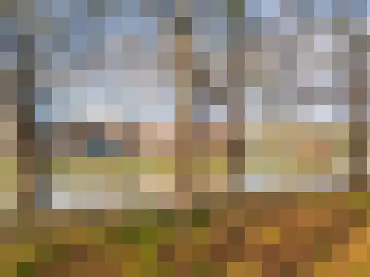 De Tuinen 27 Gorinchem thumbnail 25