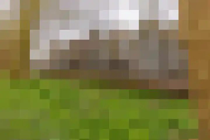 De Tuinen 27 Gorinchem thumbnail 26