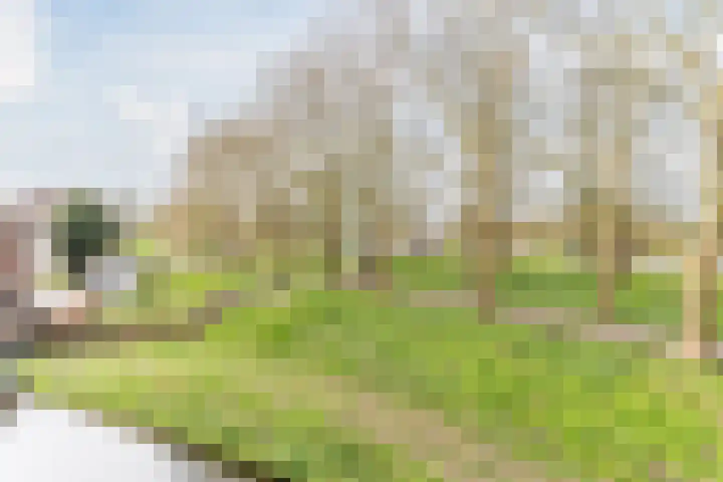 De Tuinen 37 Gorinchem thumbnail 20