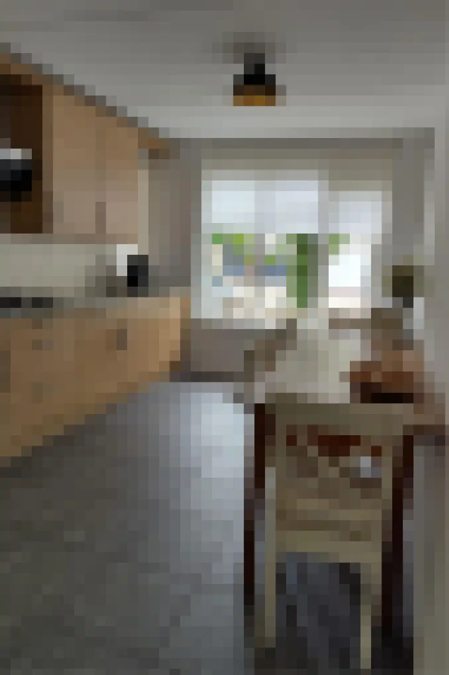 De Tuinen 6 Schagen thumbnail 11