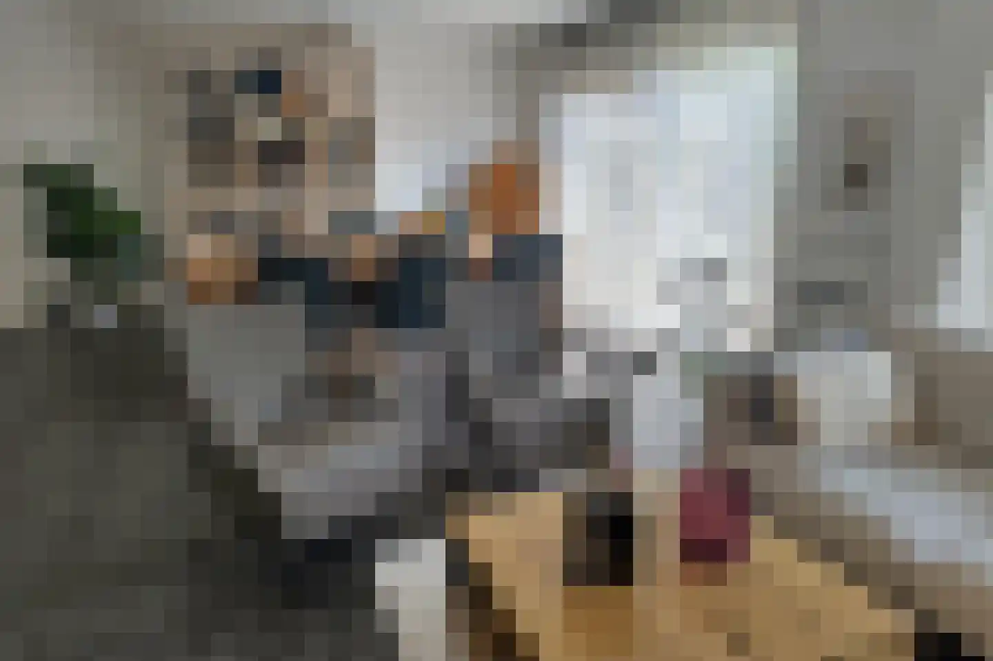 De Tuinen 6 Schagen foto 2